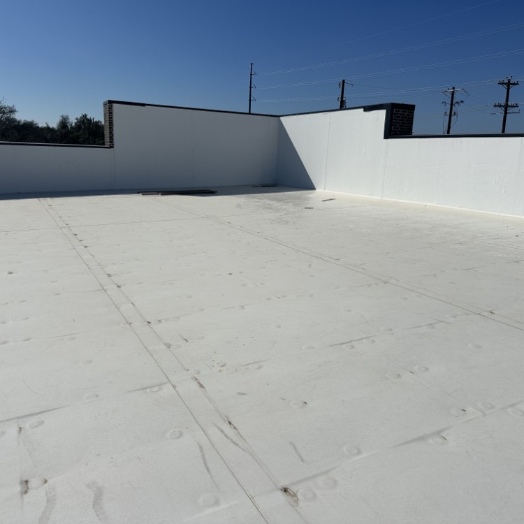 Just another WordPress site