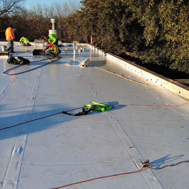 Just another WordPress site