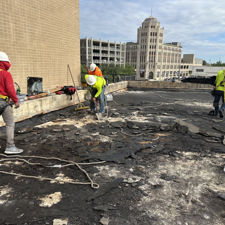 Just another WordPress site