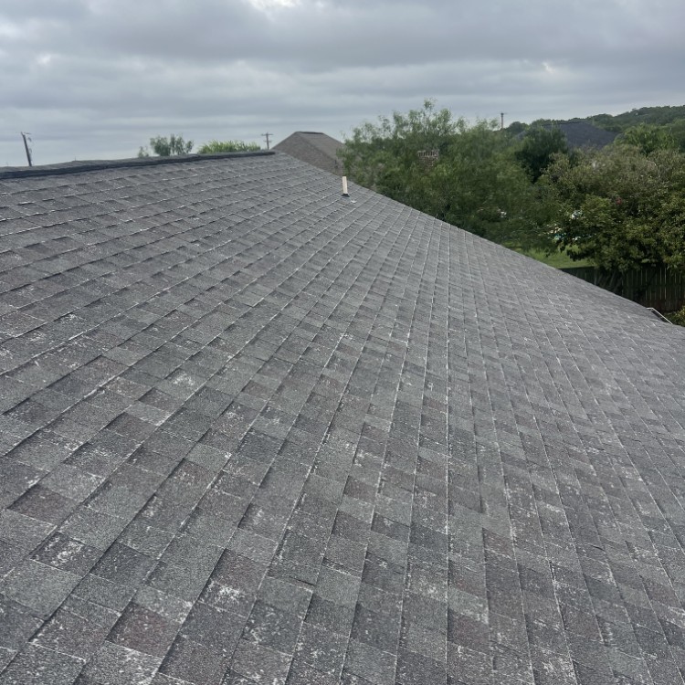 Just another WordPress site