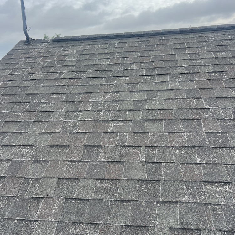 Just another WordPress site