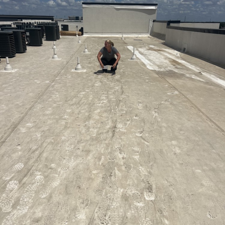 Just another WordPress site