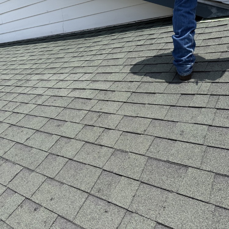 Just another WordPress site