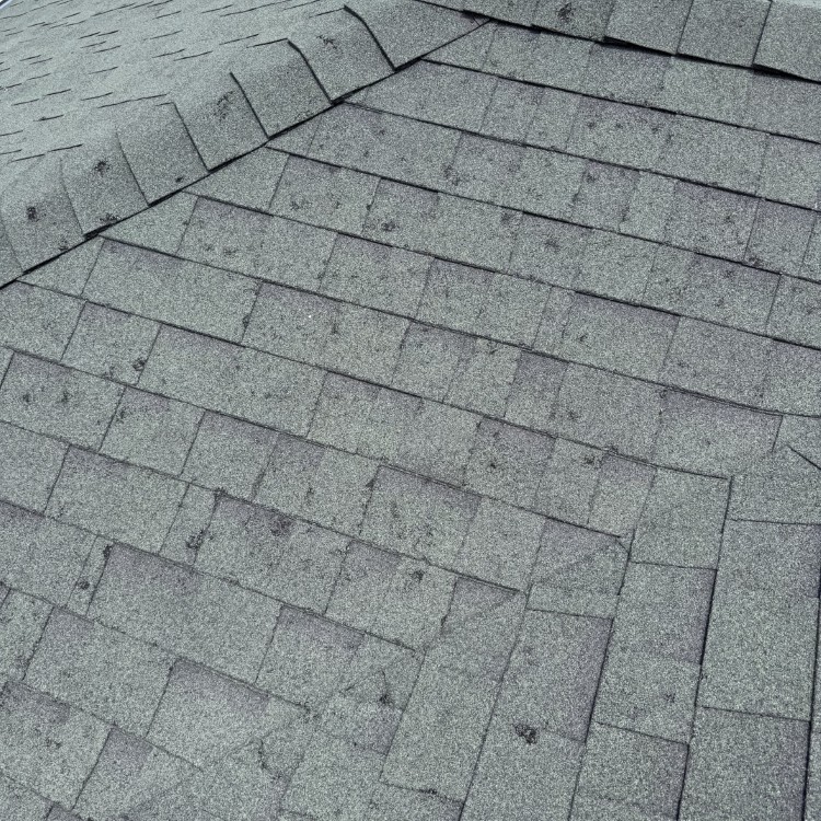 Just another WordPress site