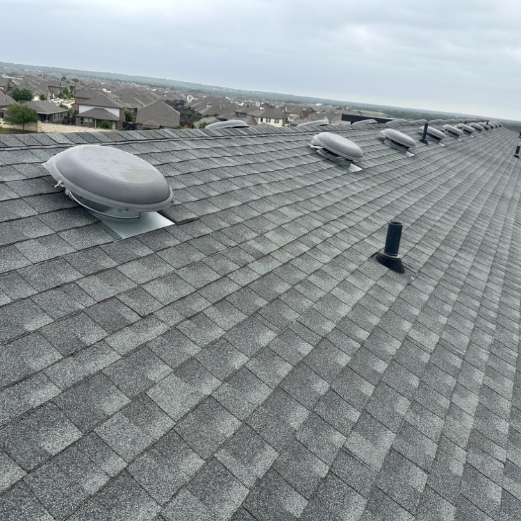 Just another WordPress site