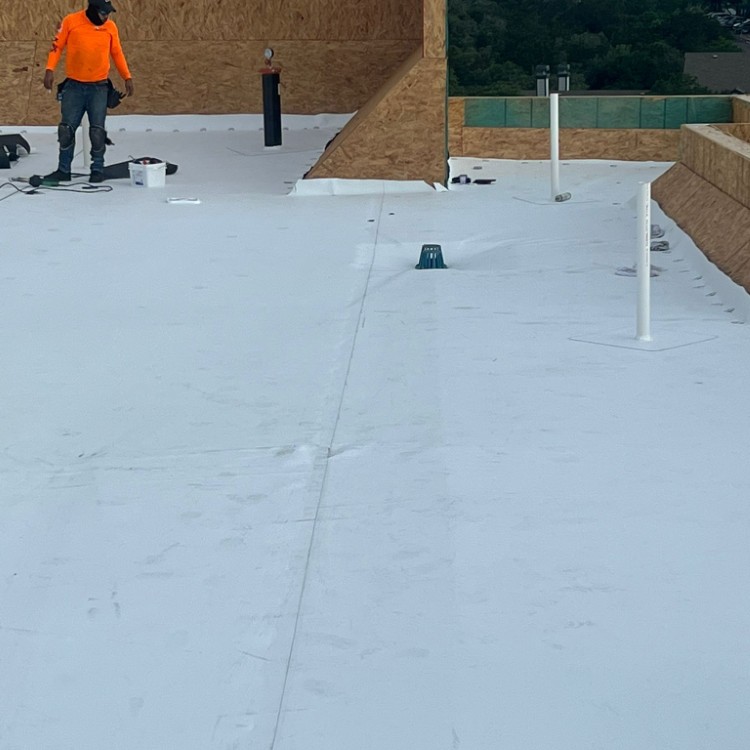 Just another WordPress site