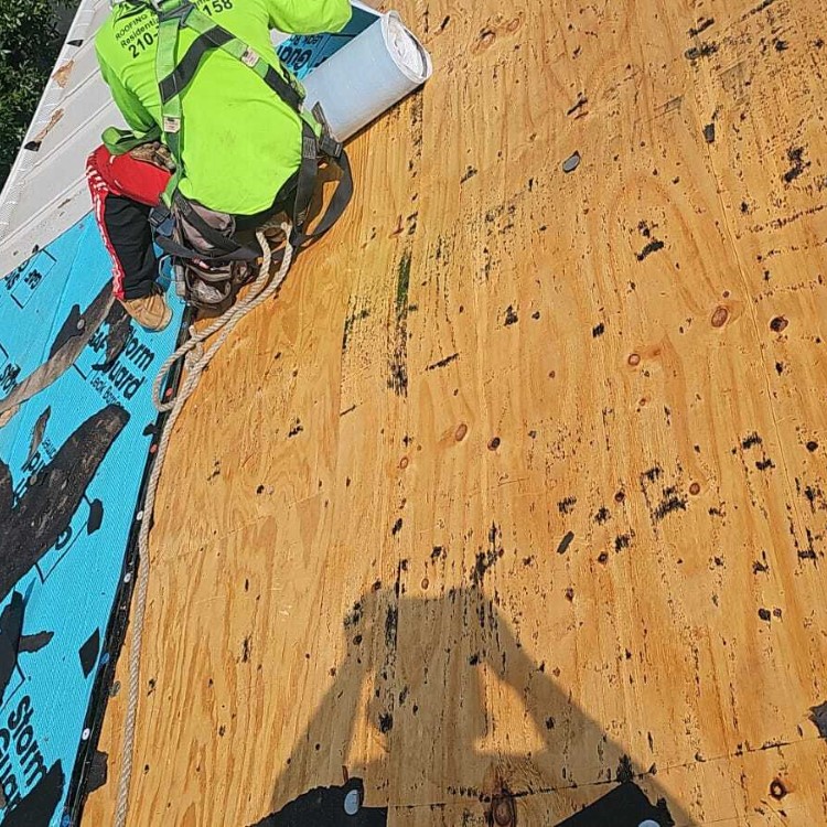 Just another WordPress site