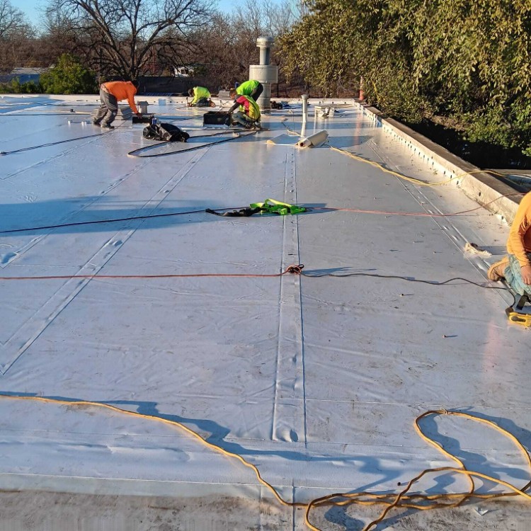 Just another WordPress site